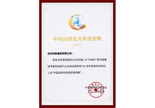 Outstanding typical cases of Chinese brands